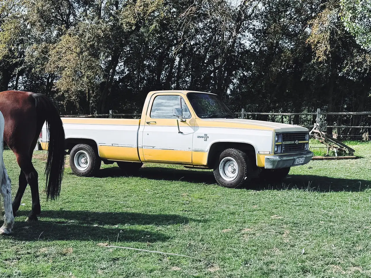 Chevrolet Silverado C10 -Documents Belges-, foto 5