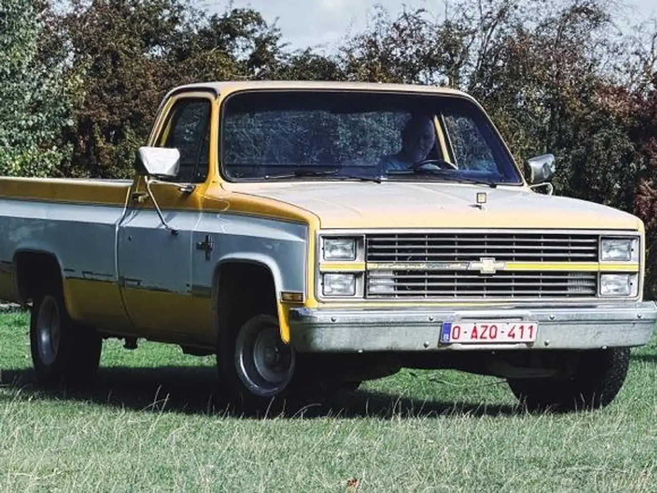 Chevrolet Silverado C10 -Documents Belges-, foto 7