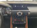 Lexus RC 300h Executive Navigation Beige - thumbnail 26