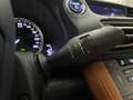 Lexus RC 300h Executive Navigation Beige - thumbnail 32