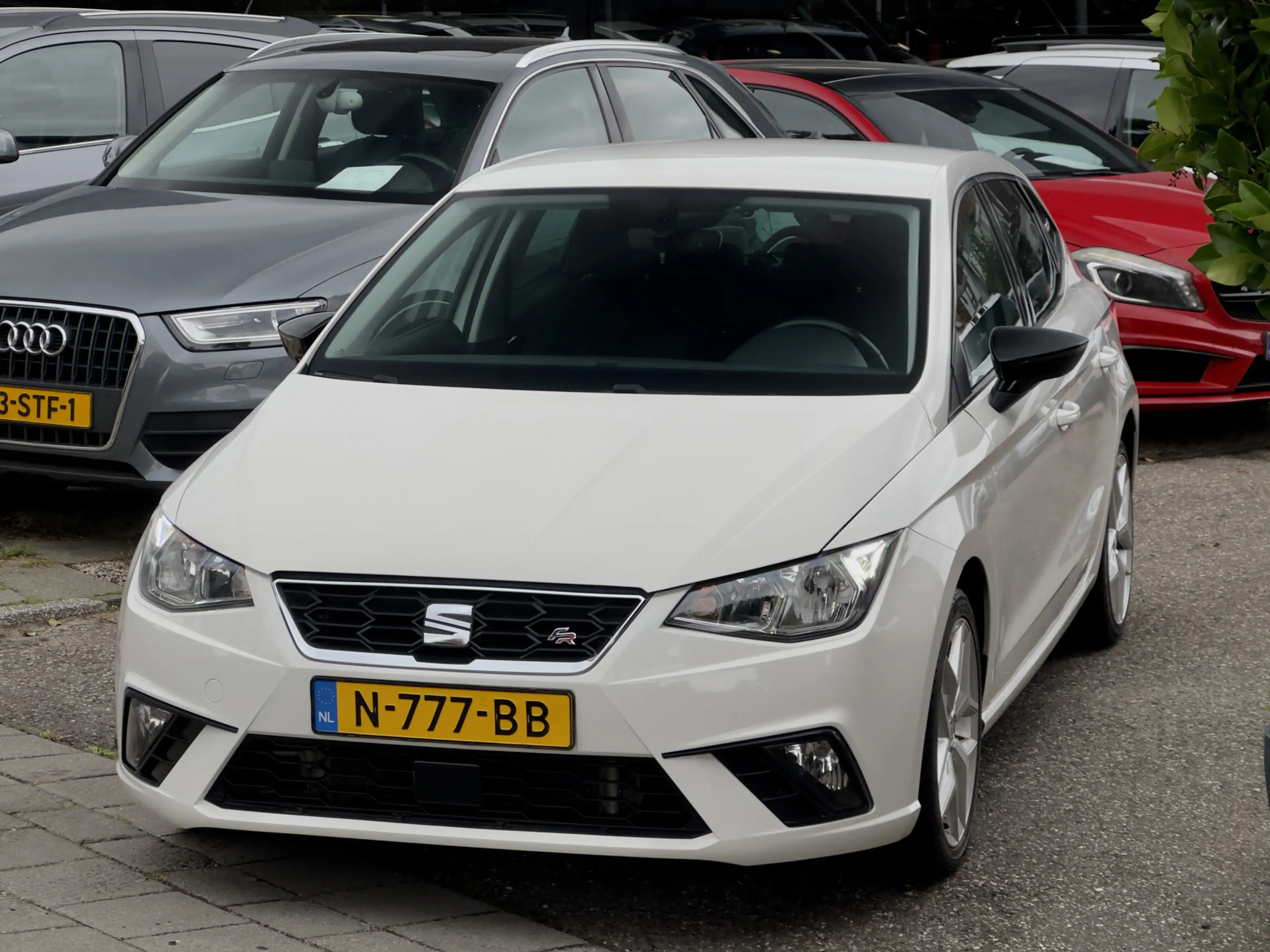 SEAT Ibiza 1.0 TSI AUT7 STYLE INTENSE NAVI CAMERA APPLE-CARPL — photo 10