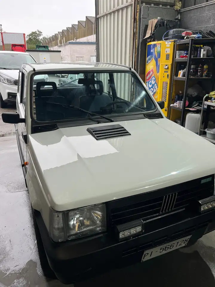 Fiat Panda 4x4, foto 8