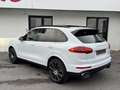 Porsche Cayenne 3.0 TD V6 AUTOMATIQUE TOIT PANO GPS CUIR FULL Wit - thumbnail 7