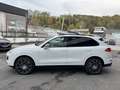 Porsche Cayenne 3.0 TD V6 AUTOMATIQUE TOIT PANO GPS CUIR FULL Wit - thumbnail 4