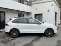 Porsche Cayenne 3.0 TD V6 AUTOMATIQUE TOIT PANO GPS CUIR FULL Wit - thumbnail 12