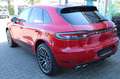 Porsche Macan S 21Zoll Memory Panorama-SD ACC PASM Spurwechselas Rot - thumbnail 13