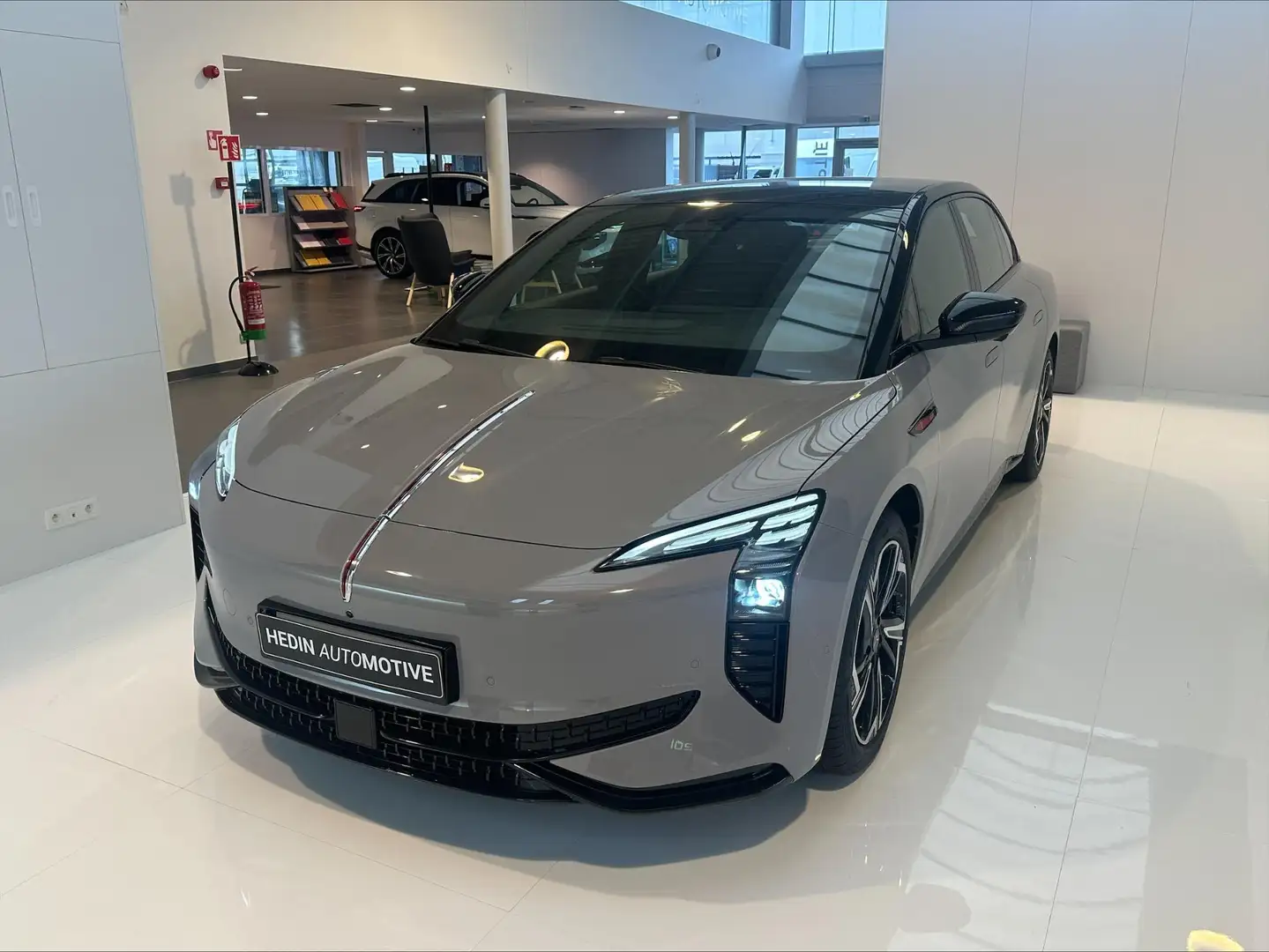 Hongqi EH7 Long Range Launch Edition Grau - 1