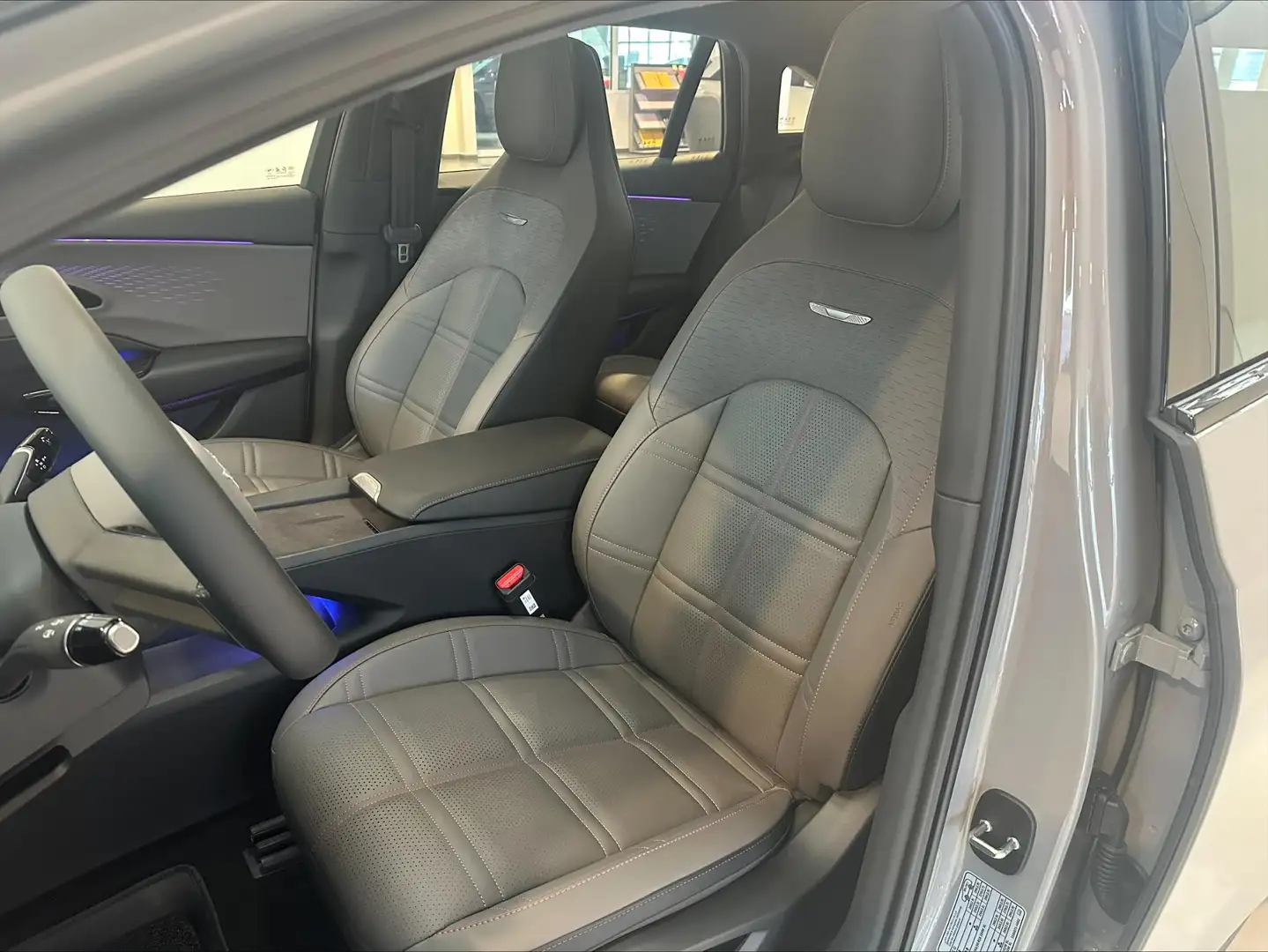 Hongqi EH7 Long Range Launch Edition Grau - 2