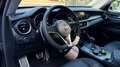 Alfa Romeo Stelvio 2.2TURBODIESEL 210CV AT8 Q4 EXECUTIVE*24M.G.*CL19* Negru - thumbnail 19