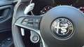 Alfa Romeo Stelvio 2.2TURBODIESEL 210CV AT8 Q4 EXECUTIVE*24M.G.*CL19* Negru - thumbnail 6