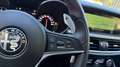 Alfa Romeo Stelvio 2.2TURBODIESEL 210CV AT8 Q4 EXECUTIVE*24M.G.*CL19* Negru - thumbnail 7