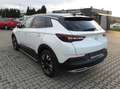 Opel Grandland X Business Leder Automatik Memory viele EXTRAS Blanco - thumbnail 5