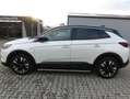 Opel Grandland X Business Leder Automatik Memory viele EXTRAS Blanco - thumbnail 6