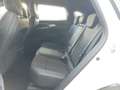 Renault Austral Techno Mild Hybrid 160 Automatik (MY24) Weiß - thumbnail 10