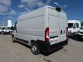 Fiat Ducato 28 120 Multijet L2H2 S&S Grau - thumbnail 13