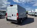 Fiat Ducato 28 120 Multijet L2H2 S&S Grau - thumbnail 8