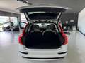 Volvo XC90 T8 Plus Dark AWD Aut. Blanco - thumbnail 11