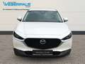 Mazda CX-30 Exclusive-Line 2WD-BOSE-NAVI-360°KAMERA Blanc - thumbnail 3