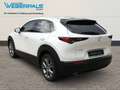 Mazda CX-30 Exclusive-Line 2WD-BOSE-NAVI-360°KAMERA Blanc - thumbnail 12