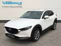 Mazda CX-30 Exclusive-Line 2WD-BOSE-NAVI-360°KAMERA Blanc - thumbnail 1