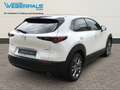 Mazda CX-30 Exclusive-Line 2WD-BOSE-NAVI-360°KAMERA Blanc - thumbnail 2