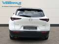 Mazda CX-30 Exclusive-Line 2WD-BOSE-NAVI-360°KAMERA Blanc - thumbnail 15