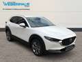 Mazda CX-30 Exclusive-Line 2WD-BOSE-NAVI-360°KAMERA Blanc - thumbnail 4