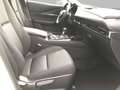 Mazda CX-30 Exclusive-Line 2WD-BOSE-NAVI-360°KAMERA Blanc - thumbnail 6