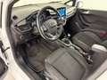 Ford Fiesta 1.5 EcoBlue 5 porte "NEOPATENTATI" Bianco - thumbnail 4