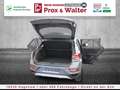 Volkswagen T-Roc TSI Life LED+KAMERA+WINTER-PAKET+ACC Gris - thumbnail 24