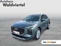 Audi Q3 e-hybrid 200 kW Grün - thumbnail 1