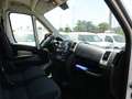 Fiat Ducato 2.3 M-JET 130CV PM-TM L2H2 Bianco - thumbnail 14
