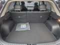 Kia Niro 1.6 Hybrid Vision ACC Navi FLA SpurH LM Grau - thumbnail 19