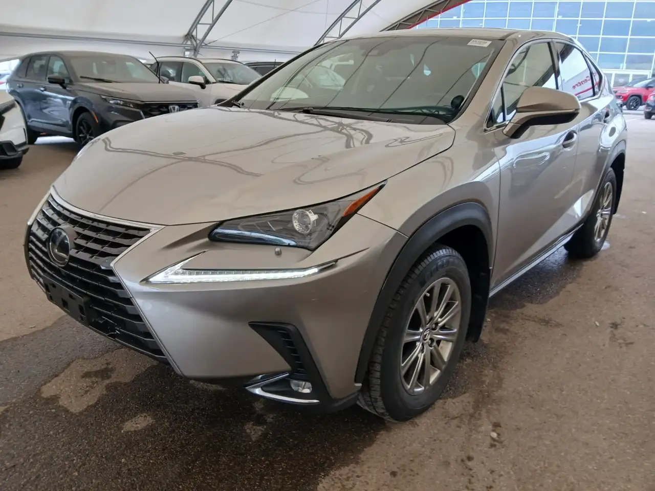 2019 Lexus NX