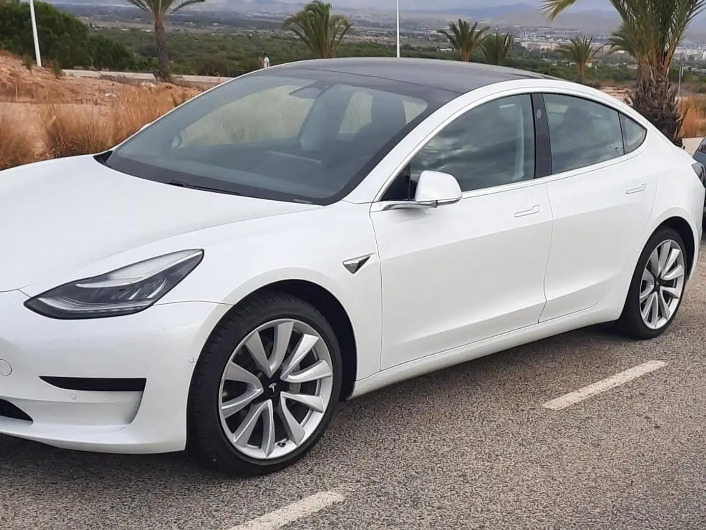 Tesla Model 3 Model 3 Standard RWD Plus Blanco - 1