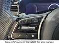 Kia ProCeed / pro_cee'd ProCeed GT-Line Pano LED Navi Memory 1.Hd Schwarz - thumbnail 23