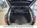 Kia ProCeed / pro_cee'd ProCeed GT-Line Pano LED Navi Memory 1.Hd Schwarz - thumbnail 16