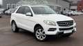 Mercedes-Benz ML 350 ML ML 350 CDI BlueTec *LED*PDC*SCHECKHEFT Weiß - thumbnail 3