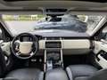 Land Rover Range Rover D300 Westminster Beige - thumbnail 8