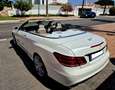 Mercedes-Benz E 350 Cabrio 350BlueTec Aut. Blanco - thumbnail 14