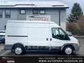 Ford Transit Kasten FT 280 M LKW AHK Multi Tuner-Radio Blanc - thumbnail 4