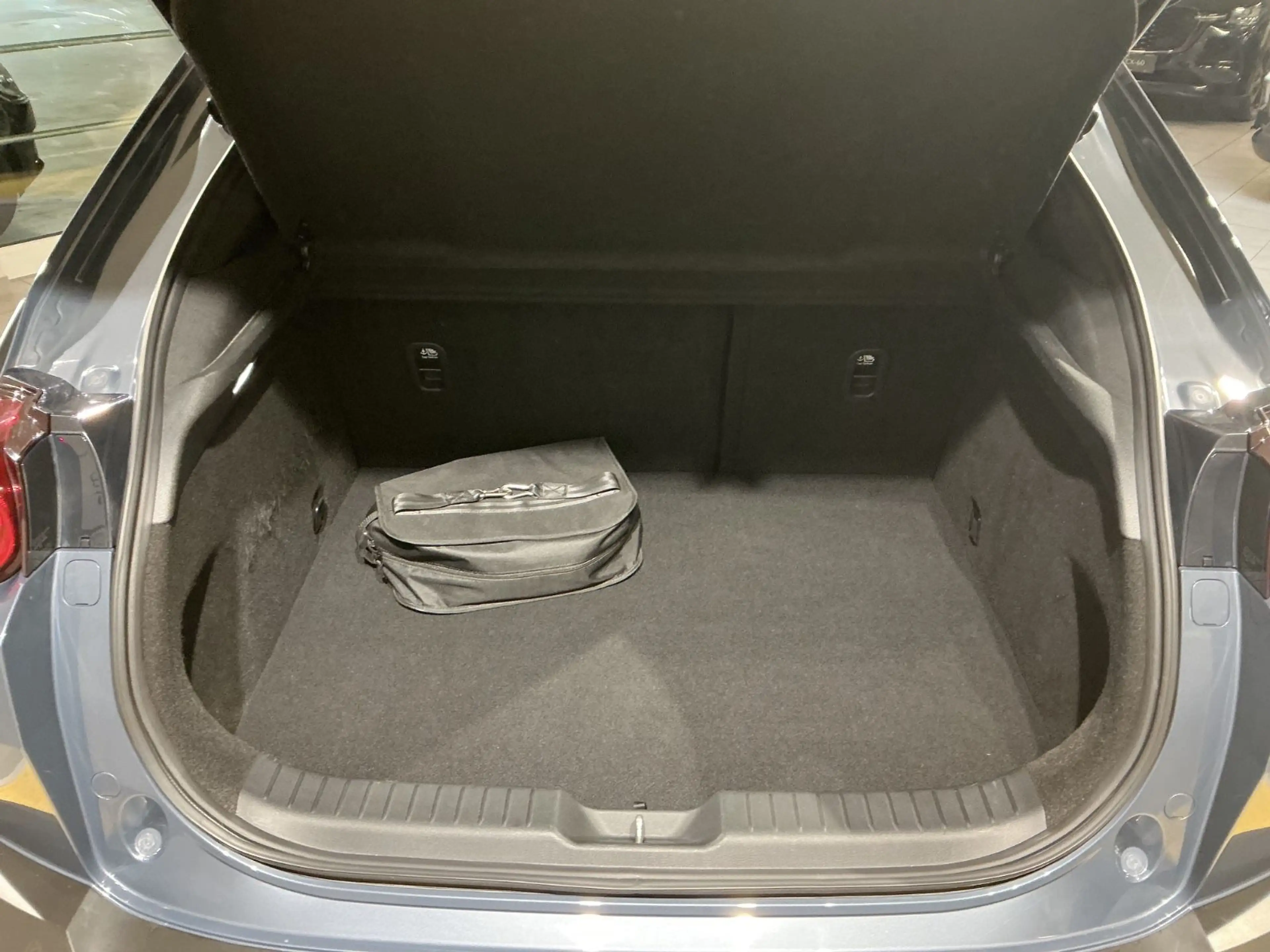 Mazda MX-30 *Matrix*Carplay*SHZ*Kamera*ACC* — photo 5