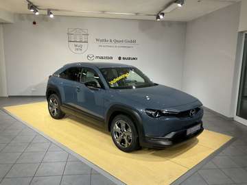 *Matrix*Carplay*SHZ*Kamera*ACC*