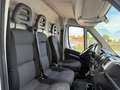 Fiat Ducato Ducato 30 L2H2 140 Weiß - thumbnail 14