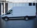 Ford Transit FT 350 L4H3 Trend Heckantrieb SHZ Rückfahrkamera PDC KLIMA BT ZV Blanc - thumbnail 2