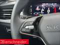 Skoda Kamiq 1.0 TSI DSG Selection REAR VIEW LED NAVI SHZ Grau - thumbnail 33