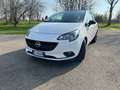 Opel Corsa 3p 1.3 cdti Advance (n-joy) SI NEOPATENTATI Blanco - thumbnail 2