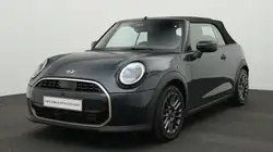 Mini Other Favoured Trim