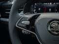 Skoda Scala Drive 1,0 TSI Drive DSG AHK*MATRIX*NAVI Grau - thumbnail 13