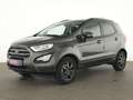 Ford EcoSport Cool & Connect Winter-Paket|Sitzheizung Gris - thumbnail 2